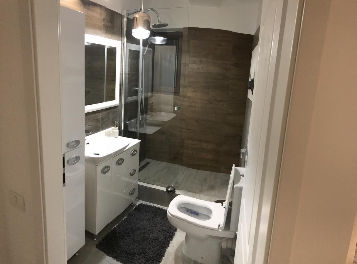 Venetia Apartament - Timisoara Daire Dış mekan fotoğraf